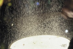 20190305-214755-MvD